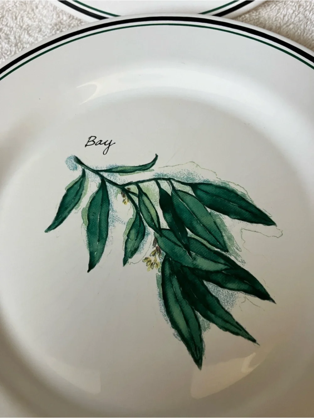 2 Williams Sonoma White Salad Plates with Green Herbs Bay and Taragon